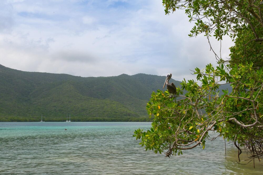 Plage dans Le parc national Henri Pittier
