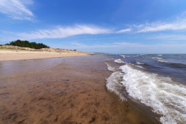 Plage de Gros Jonc, Île-de-Ré