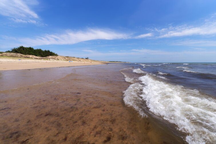 Plage de Gros Jonc, Île-de-Ré