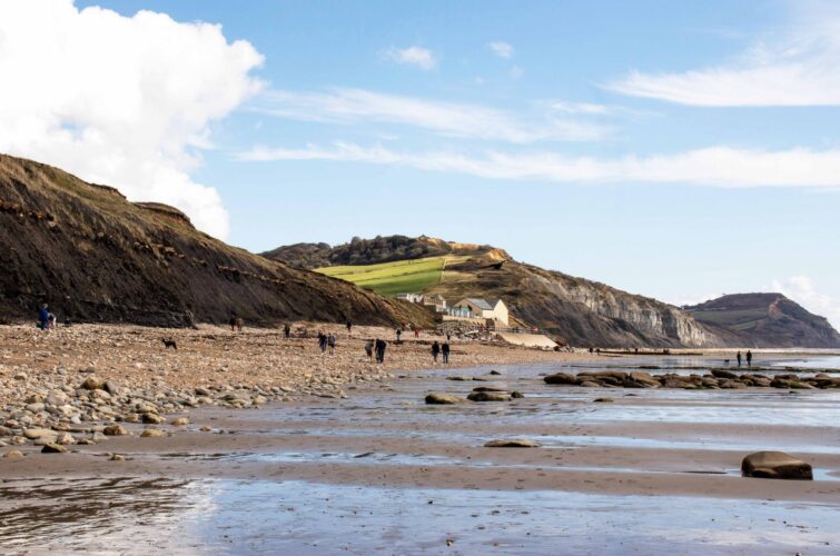 Plage fossile de Lyme Regis, Angleterre
