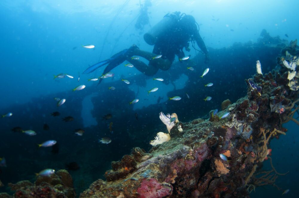 Plongée sur l'épave d'un navire à Coron, Philippines