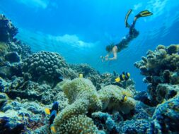 Plongeuse aux Philippines