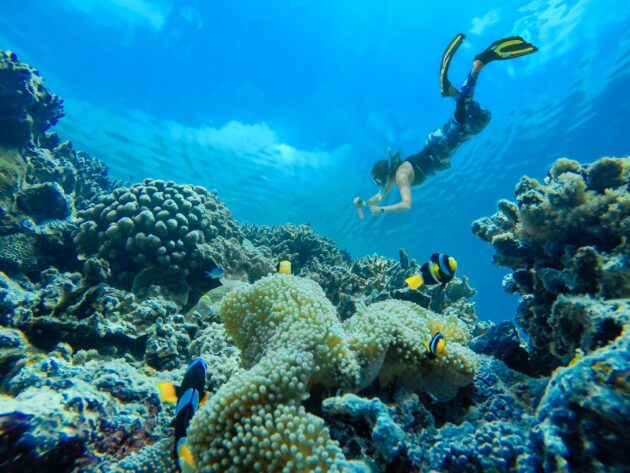 Plongeuse aux Philippines