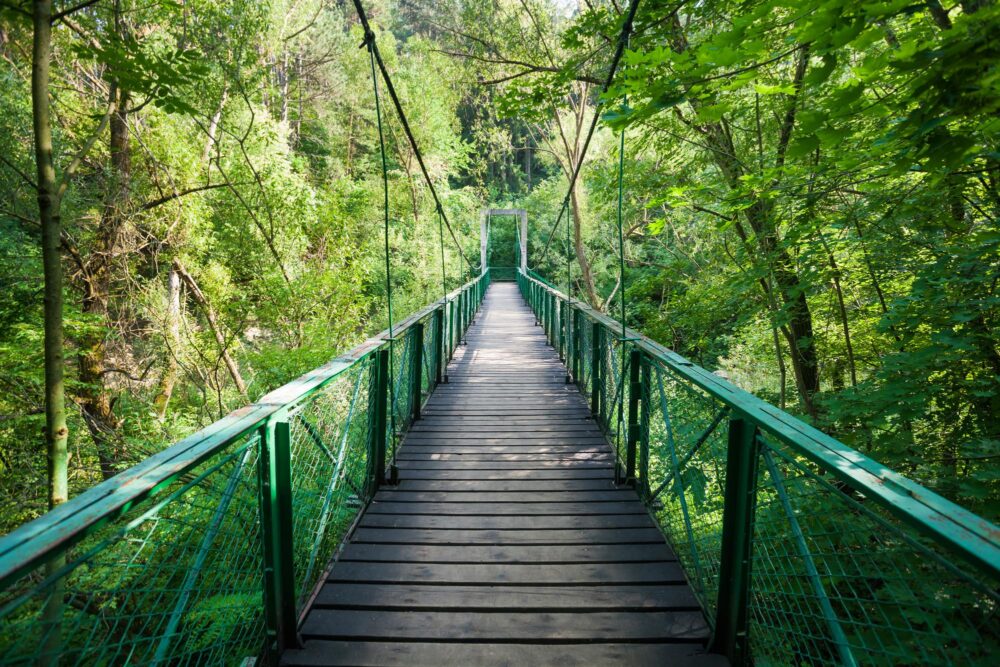 Pont suspendu à Cheile Turzii