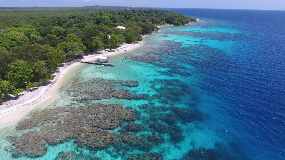 Récif coralien à Utila
