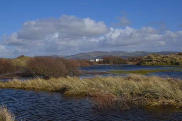 Réserve naturelle de Ynyslas, Pays de Galles