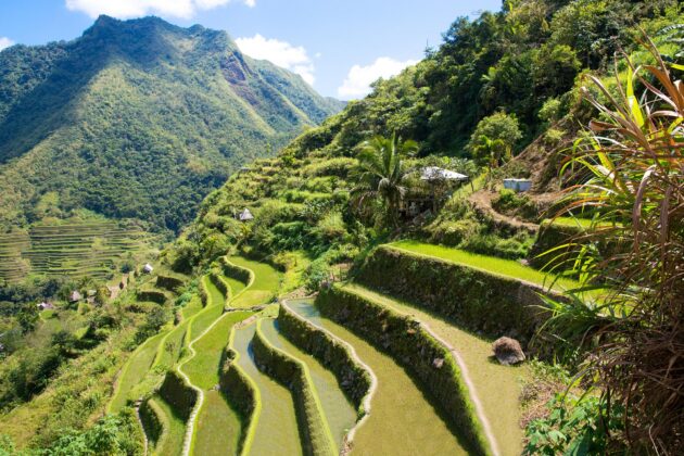 Rizières de Batad, Philippines