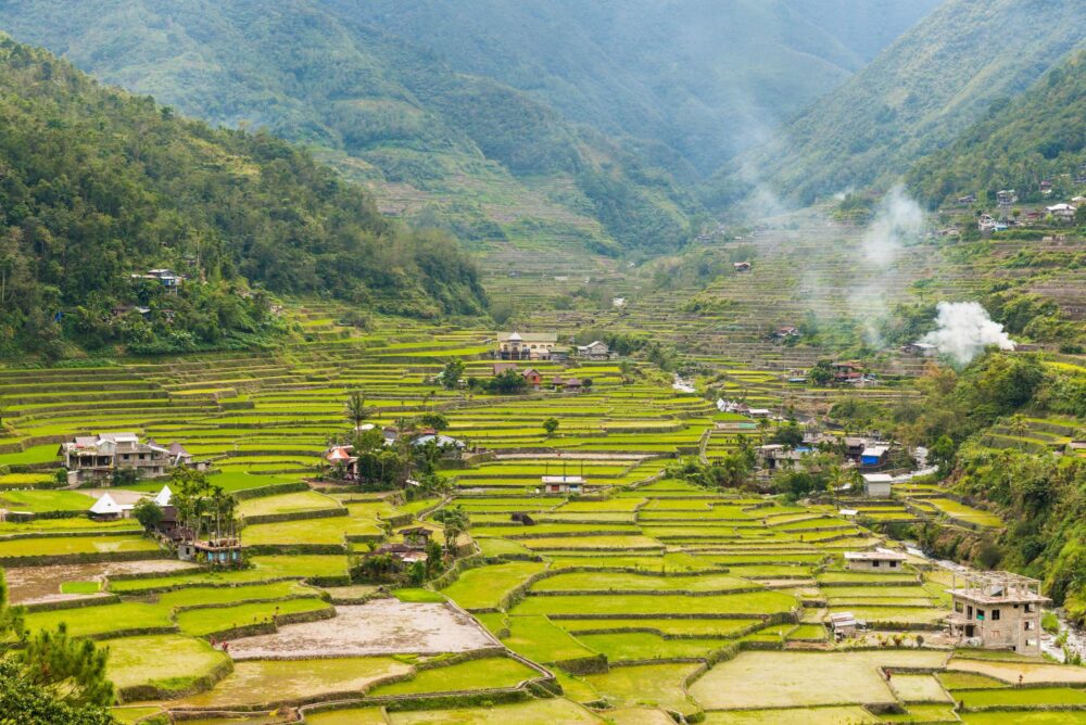 Rizières de Hapao aux Philippines
