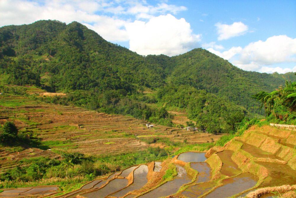 Rizières de Kiangan aux Philippines