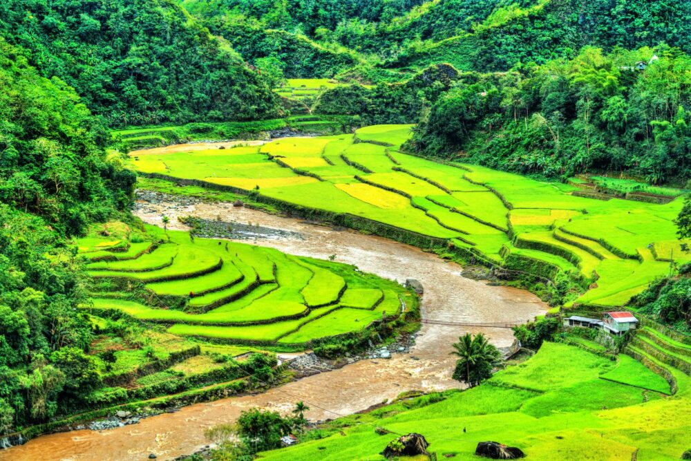 Rizières de Mayoyao aux Philippines