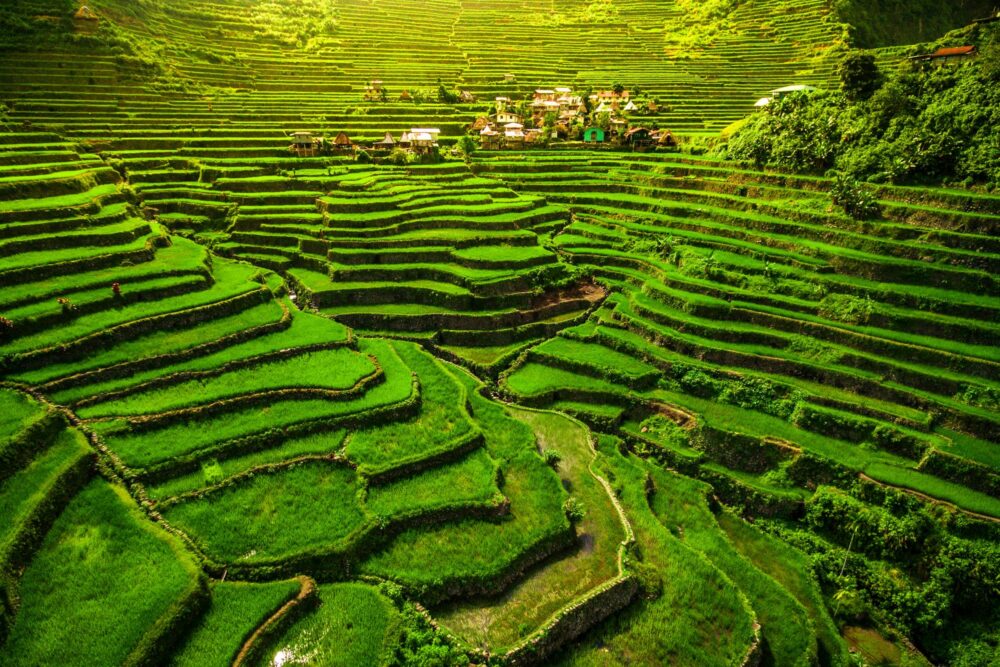 Rizières en terrasses de Banaue, Philippines