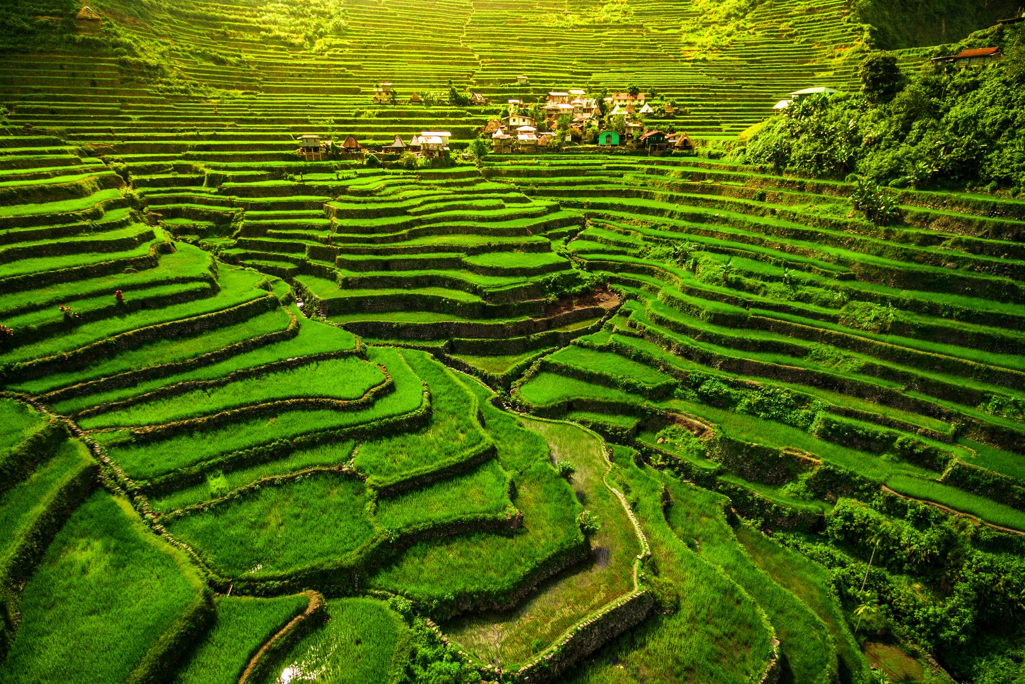 Rizières en terrasses de Banaue, Philippines