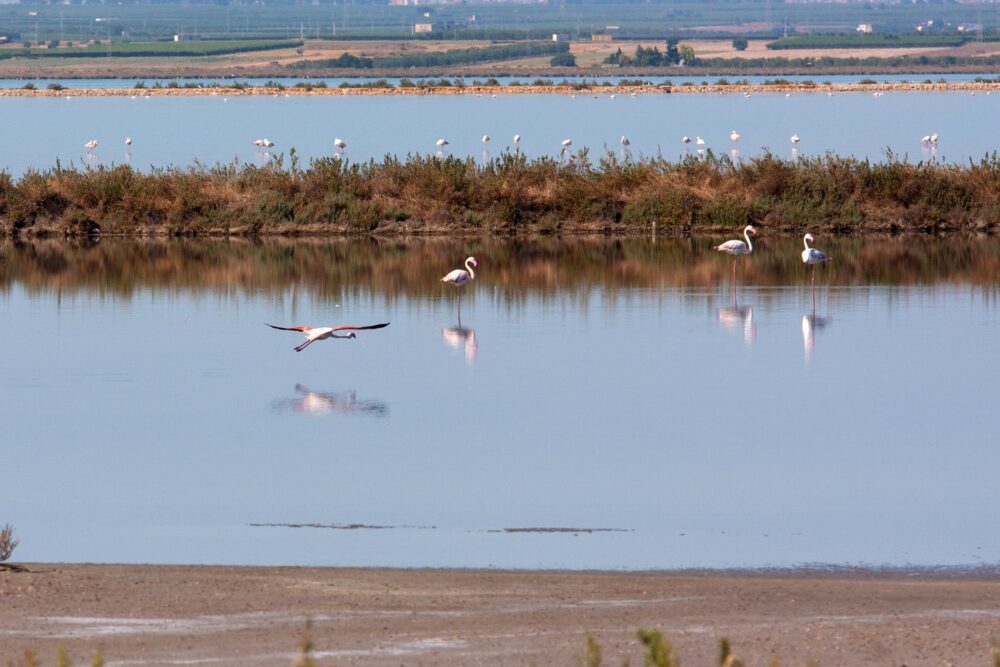 Salines de Margherita di Savoia