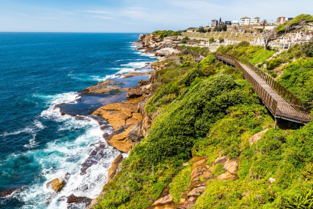 Sentier de randonnée Bondi to Coogee walk face à l'océan Pacifique