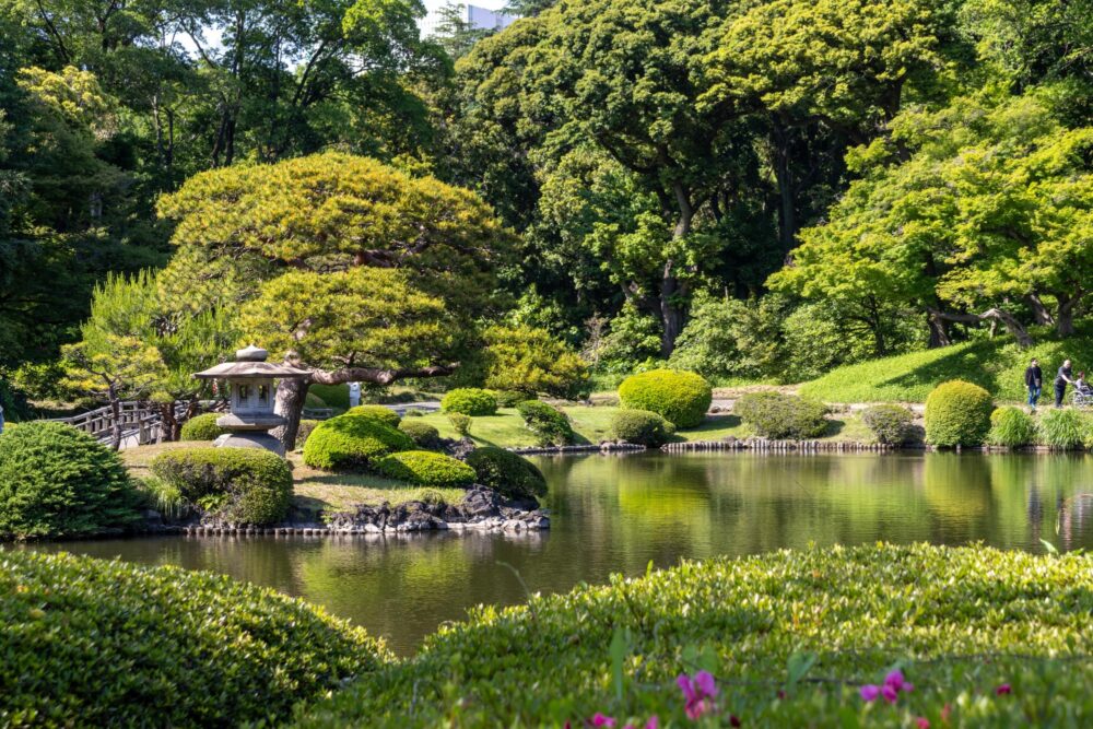 Shinjuku Gyoen à Tokyo, Japon
