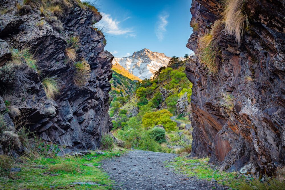 Sierra Nevada