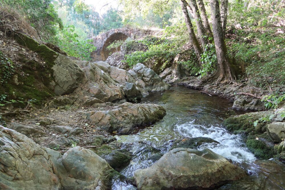 Sierra de Aracena