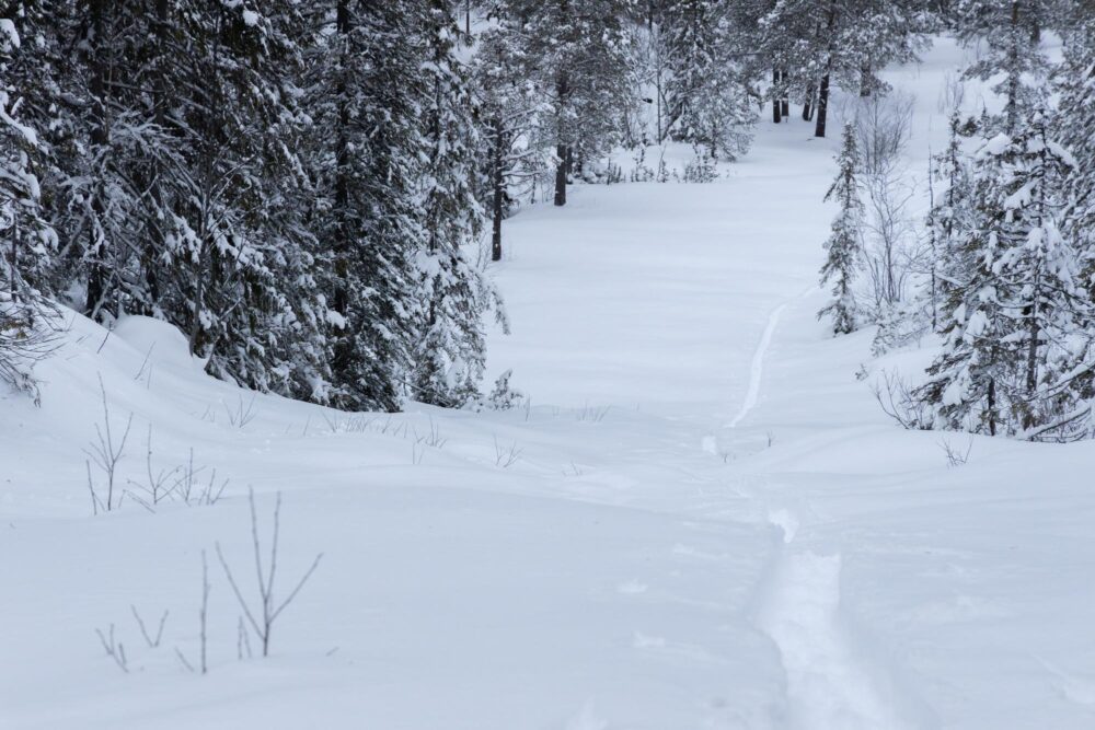 Skier au Vassfjellet Vinterpark