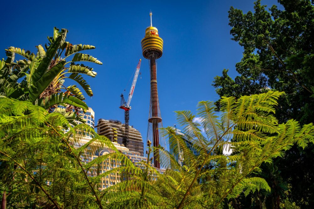 Sydney Tower Eye