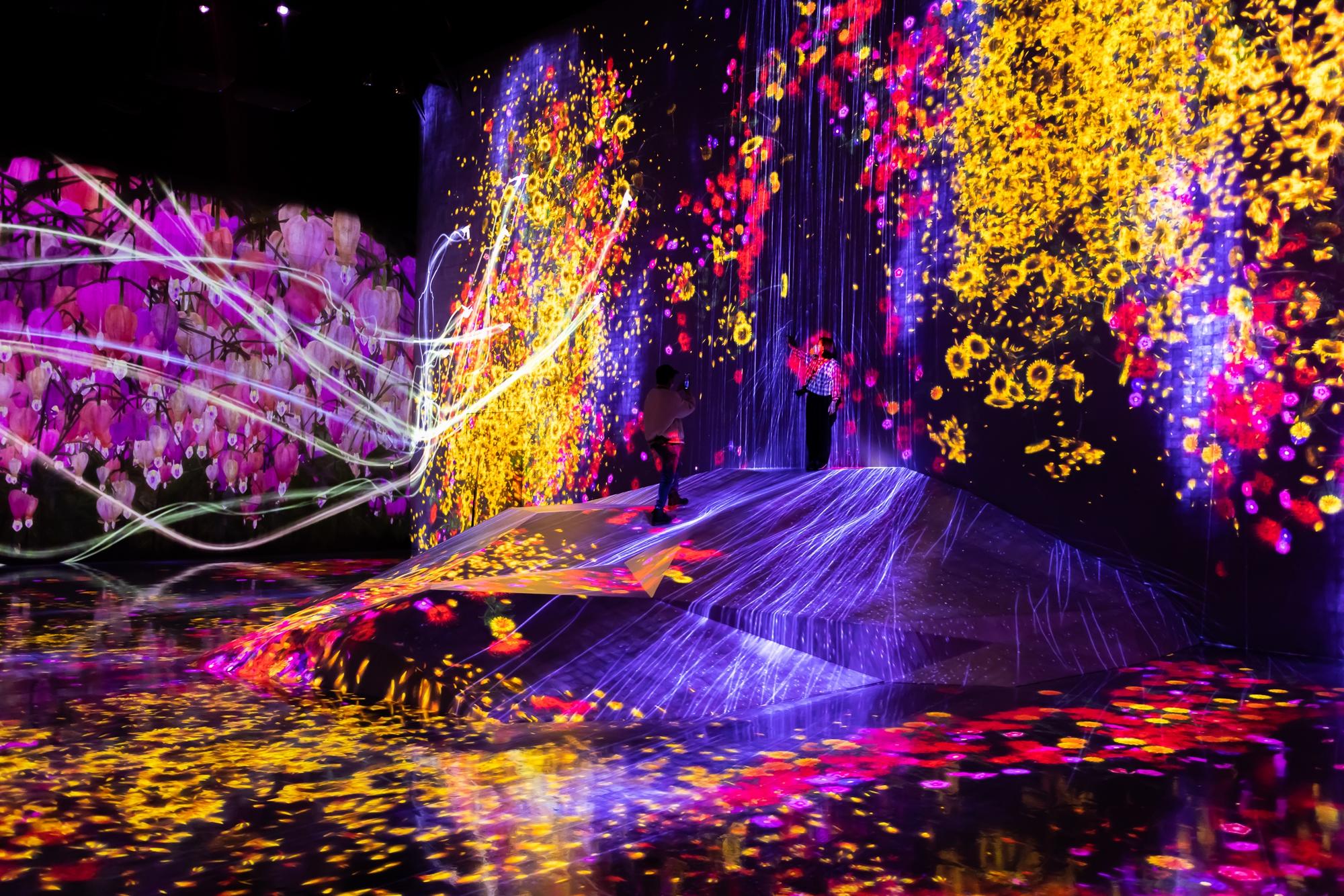 TeamLab Borderless à Tokyo, Japon