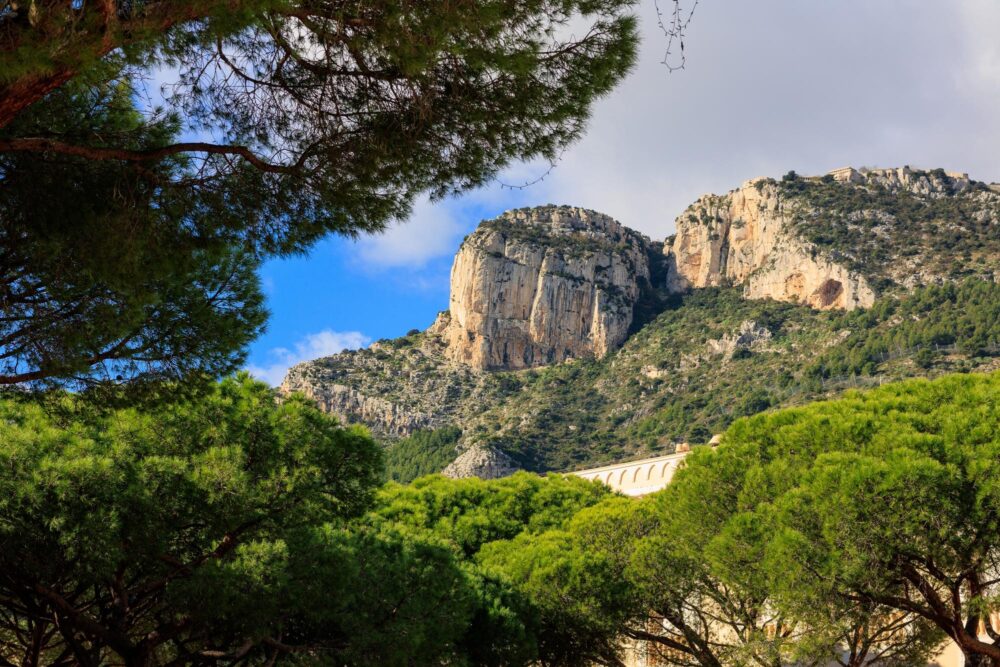 Tête de chien à Monaco