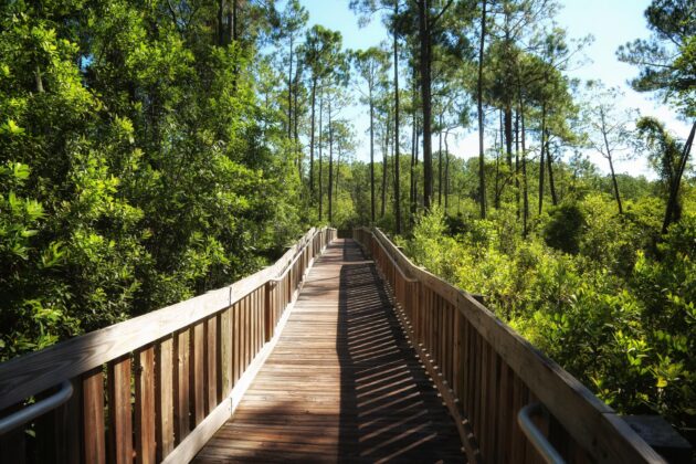 Tree Trek Adventure Park Orlando, USA