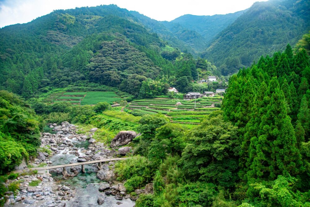 Un superbe paysage dans les montagnes de Shikoku