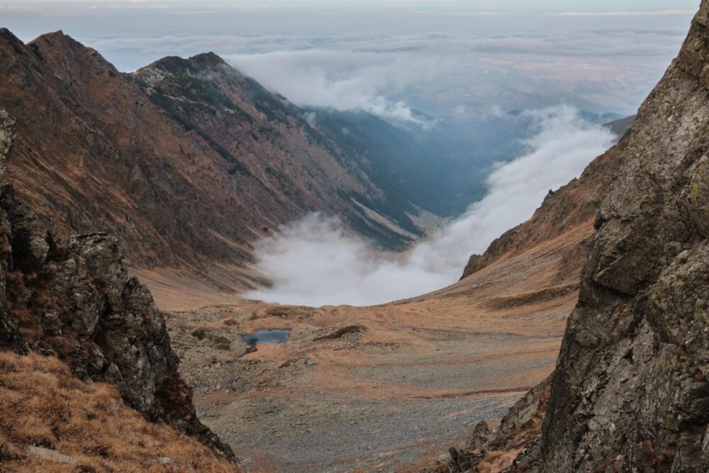 Vallée dans les monts Făgăraş