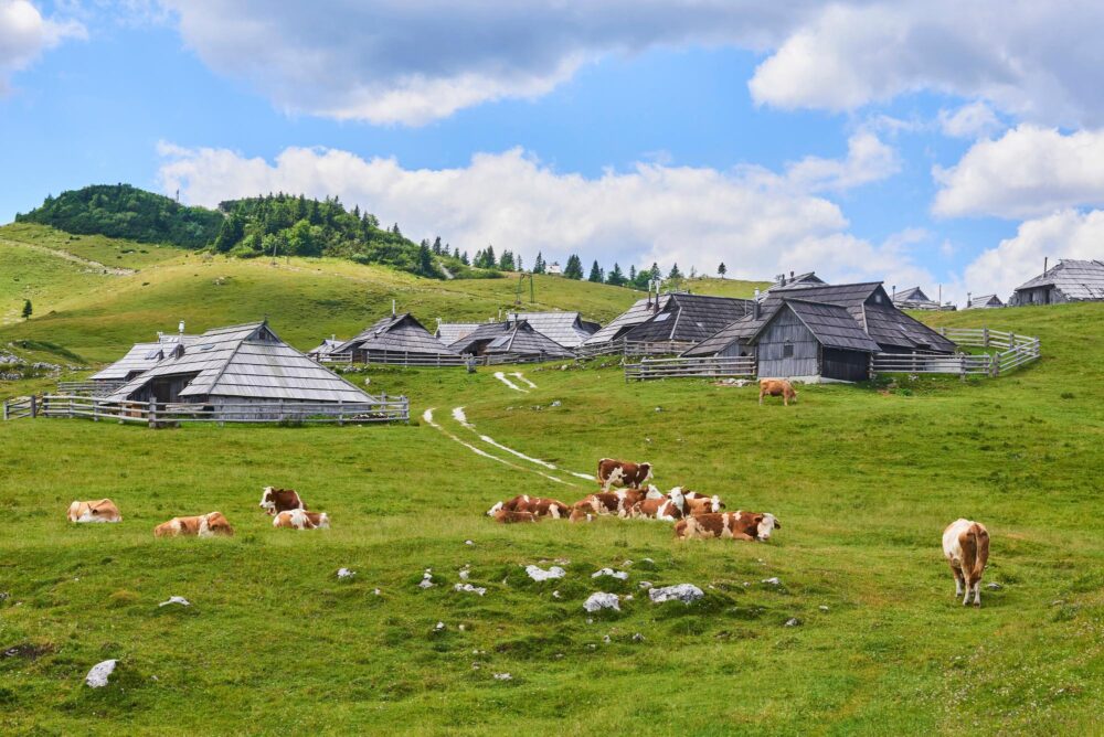 Velika Planina, Slovénie
