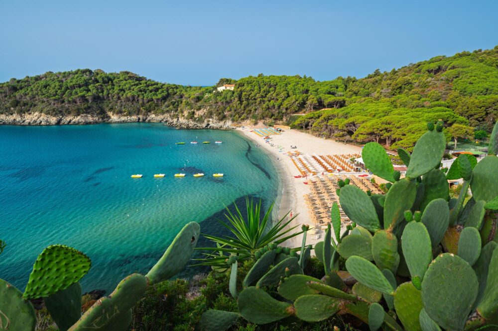 Vue aérienne de la plage de Fetovaia, île d'Elbe, Toscane, Italie