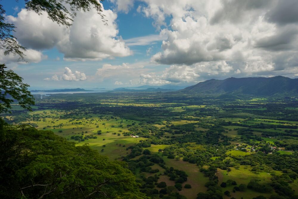 Vue sur le Parc national Barra Honda