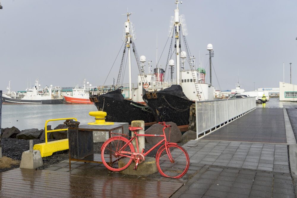 Vue sur le vieux port de Reykjavik, entre bateaux colorés et charme nordique.
