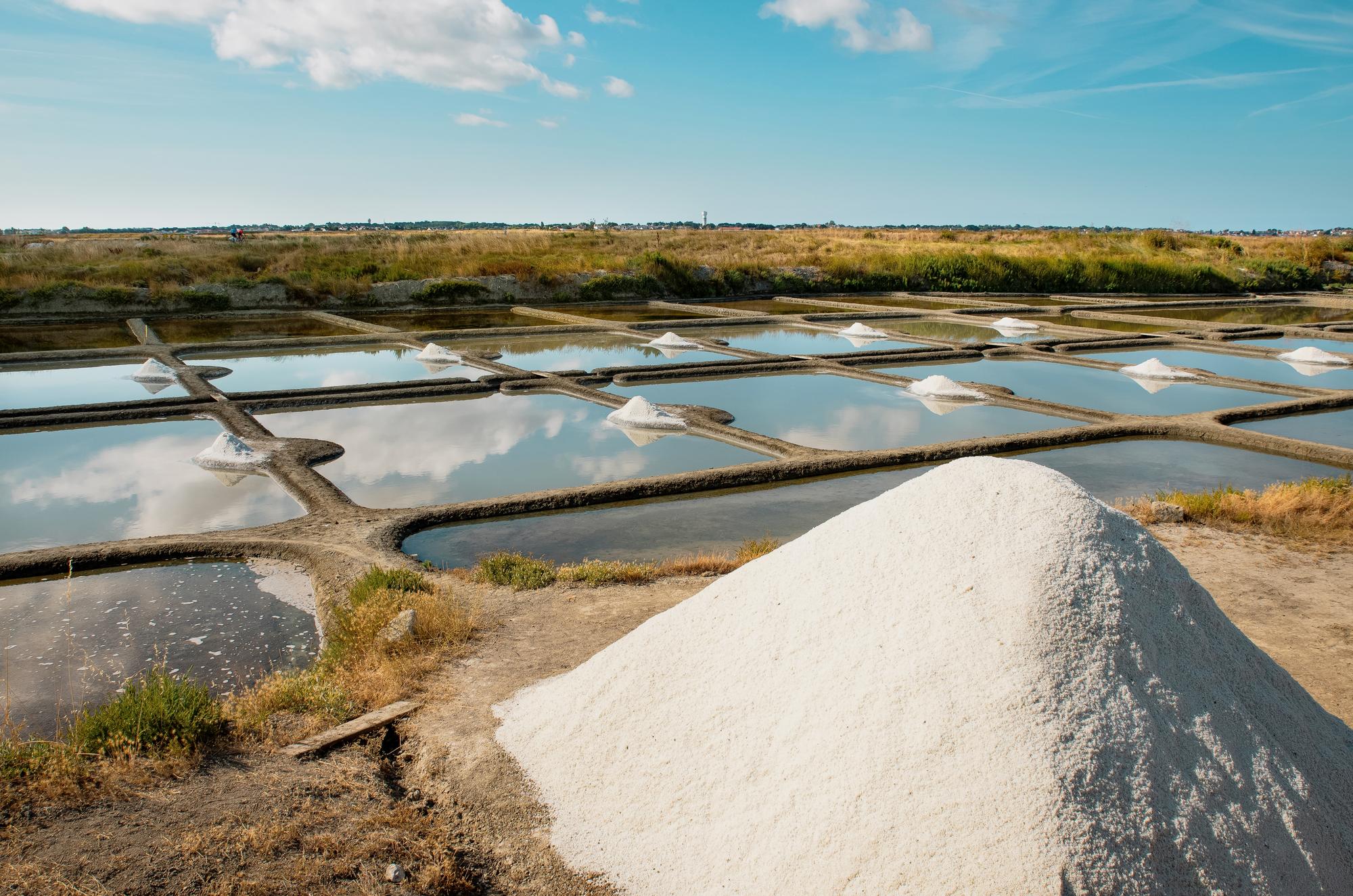 Vue sur les marais salants de Guérande