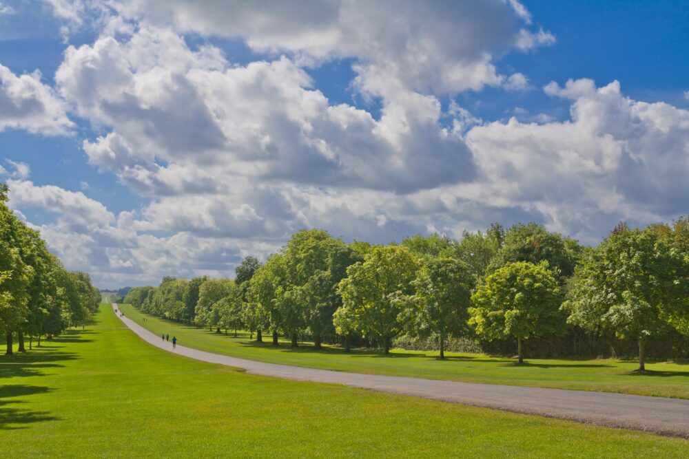 Windsor Great Park près de Londres