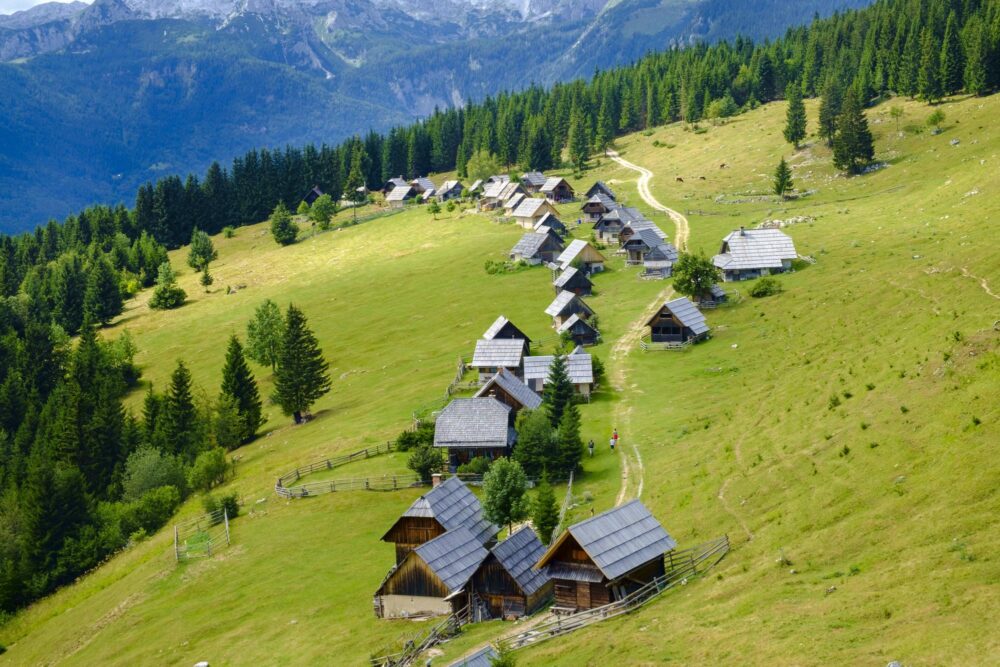 Zajamniki, Slovénie