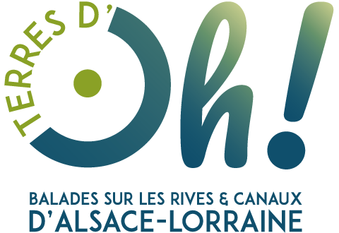 Partner Icon