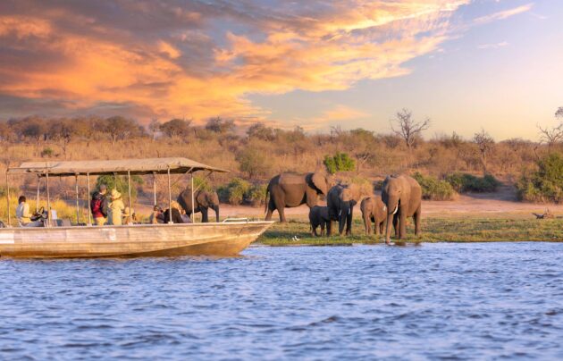 10 pays d'Afrique où faire un safari