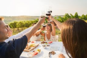 Amis partagent un repas dans les vignes
