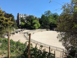 Arènes de Lutèce, Paris