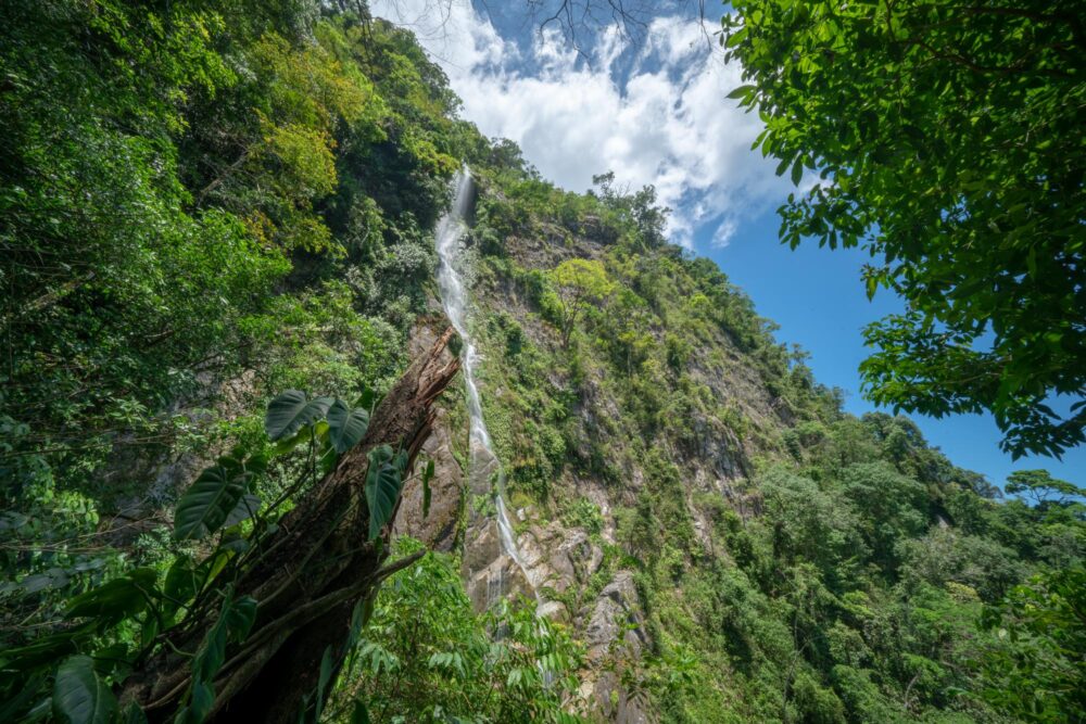 Cascade au Parc National Pico Bonito