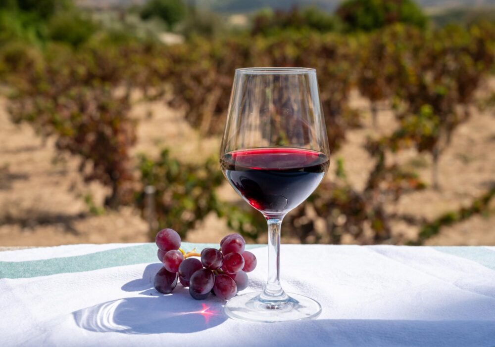 Dégustations de vins à Chypre