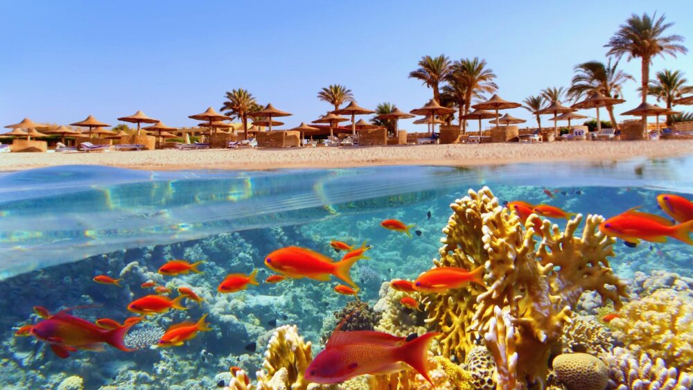 Hurghada,Égypte