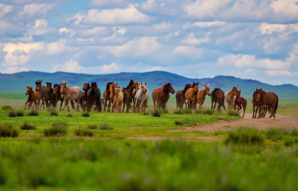 Khentii, Mongolie