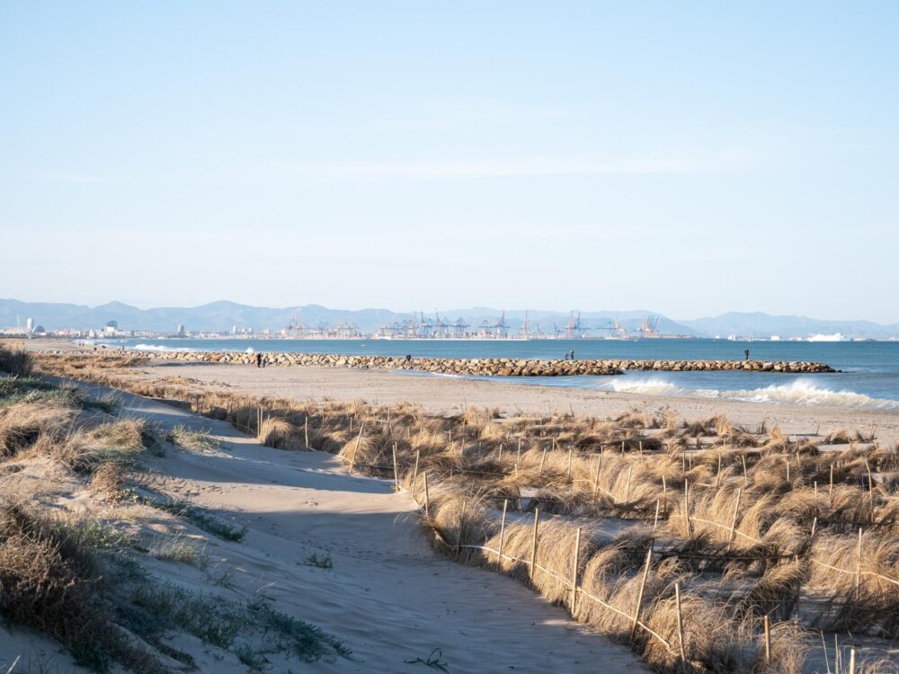 La Devesa del Saler sur la côte de Valence