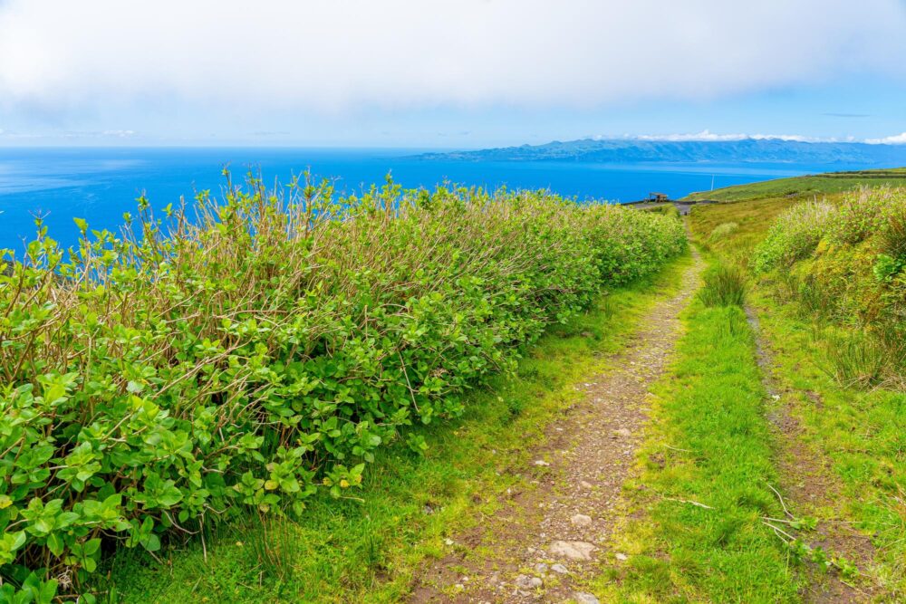 La route des fajãs