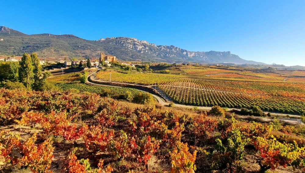 La route des vins de la Rioja en Espagne à l'automne