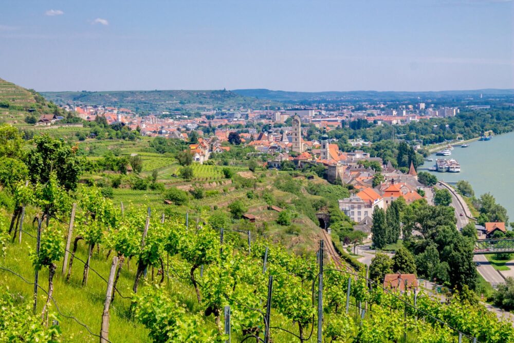 La route des vins de la Vallée de Wachau sur les rives du Danube en Autriche