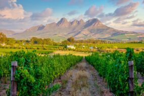 La route des vins en Afrique du Sud avec sa belle vue sur les montagnes du Cap
