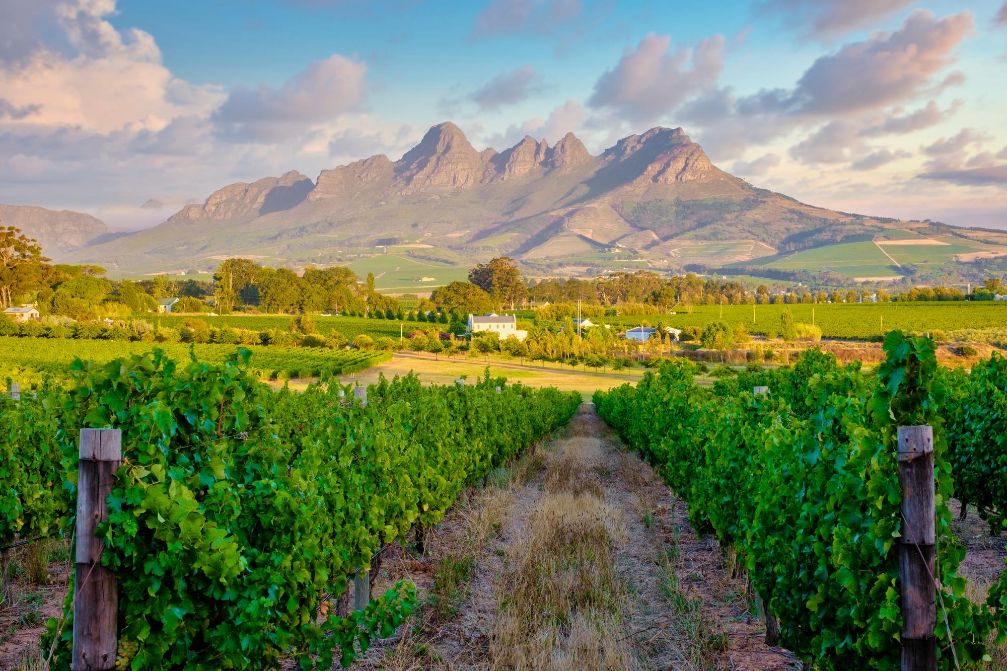 Les 10 plus belles routes des vins à explorer dans le monde image