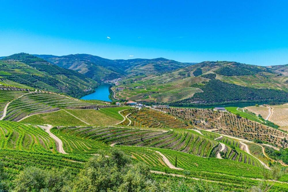 La vallée du Douro au Portugal et sa route des vins